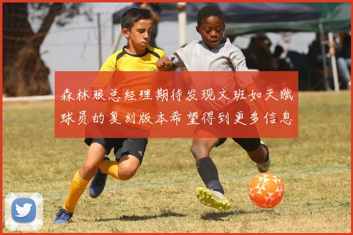 森林狼总经理期待发现文班如天赋球员的复刻版本希望得到更多信息